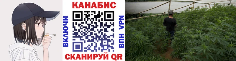 Купить  Егорьевск  Канабис White Widow 